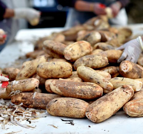 吃藕粉有哪些好处 藕粉的营养价值介绍