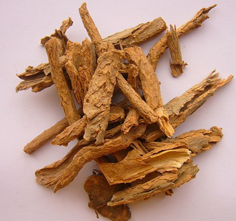 中药地骨皮的作用与功效及食用方法介绍