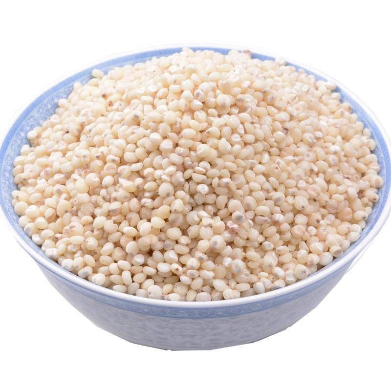 高粱米的做法公开 高粱米的烹饪小技巧