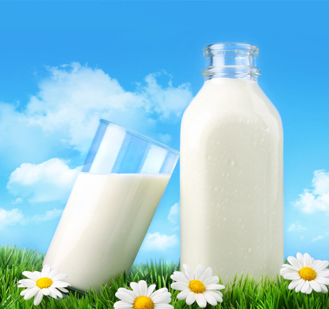 结论令人大吃一惊 纯牛奶好还是酸奶好