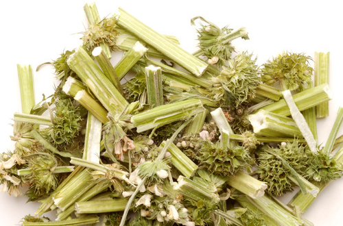 益母草什么时候吃     经前或流产后吃