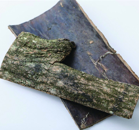 杜仲的功效与作用及食用方法介绍