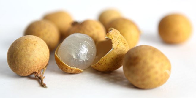 介绍桂圆和龙眼的区别及辨别真假的方法