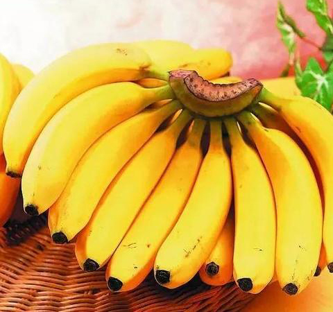 营养价值高 看看牛奶和香蕉一起吃有啥好处