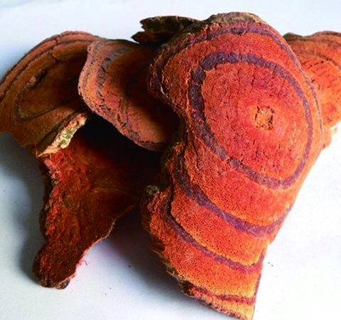 正确使用 鸡血藤的副作用有哪些