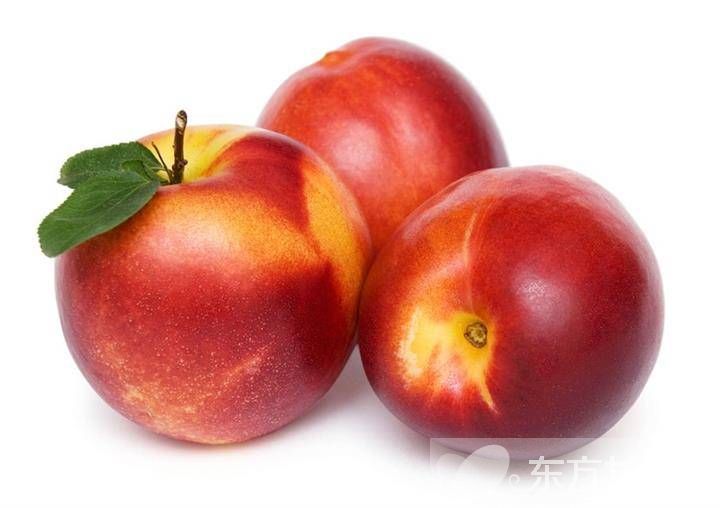 油桃的功效与作用 油桃的食用禁忌须知