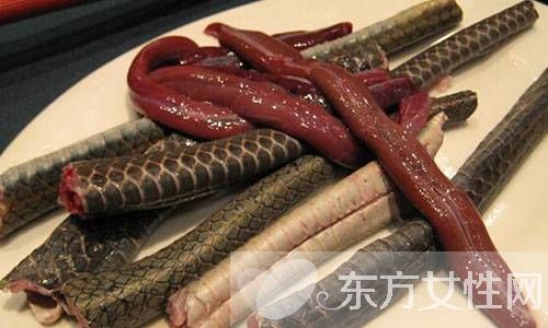 蛇肉的营养价值有哪些 水蛇两炖淡菜的做法大公开