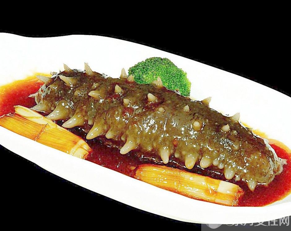 葱烧海参怎么做好吃 海参不仅补肾还有这功效