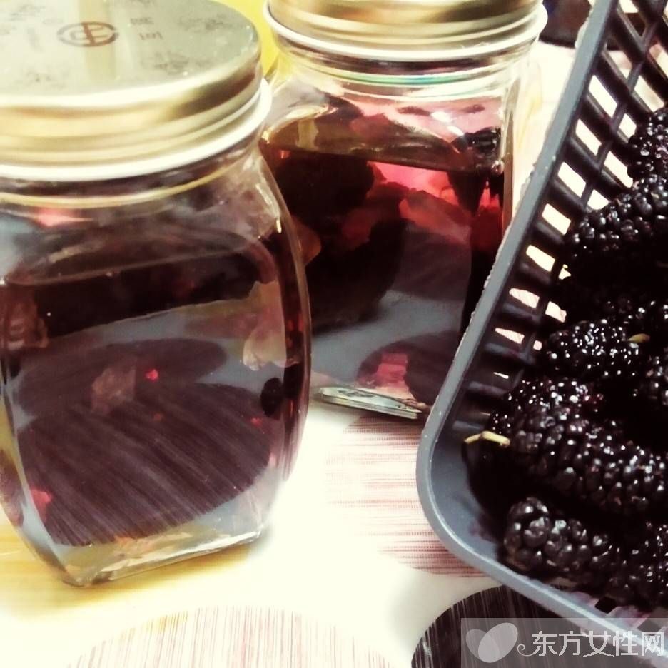 教你桑椹酒的简单4大做法 桑葚的功效与作用