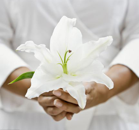 补脾的食物有哪些？9种常见健脾食物