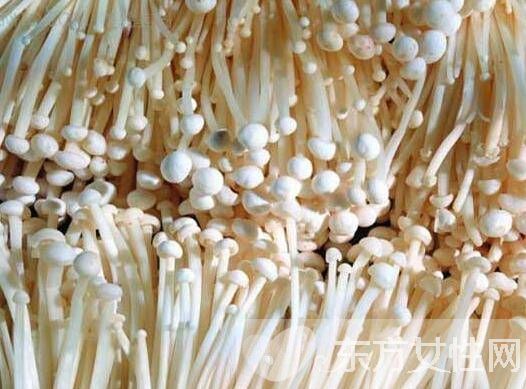 金针菇的营养价值大盘点 金针菇不止营养丰富这么简单