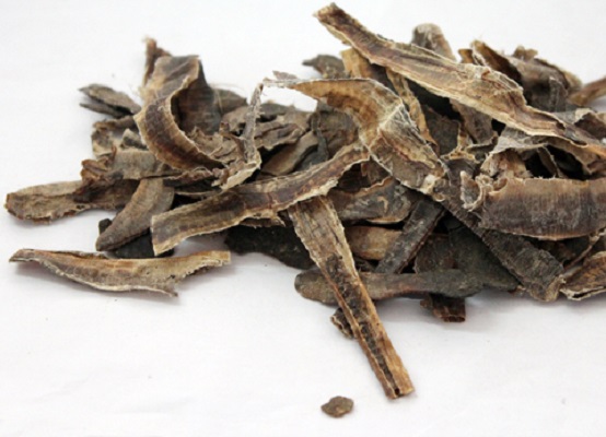 中药地龙 中药地龙的功效与作用