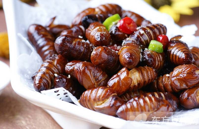 蚕蛹怎么吃 蚕蛹这么吃美味爆了
