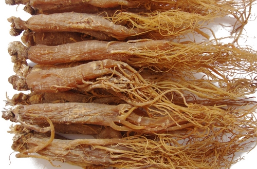 红参与高丽参的区别    外形产地各不同