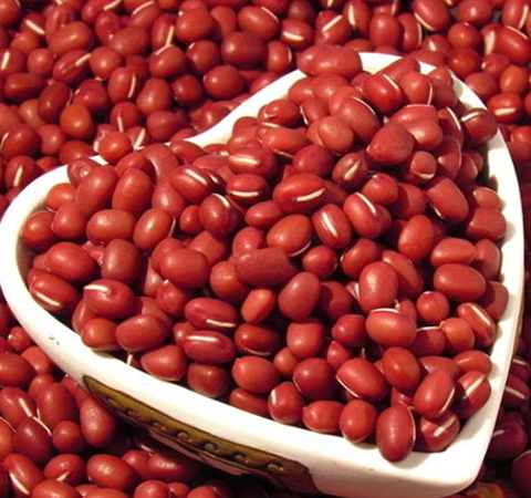 揭密赤豆的功效与作用具体有哪些