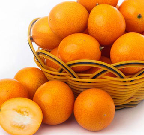 预防慢性疾病全靠它 揭金桔的功效与作用