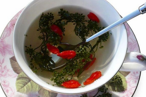 人参花的功效     延缓衰老抗肿瘤