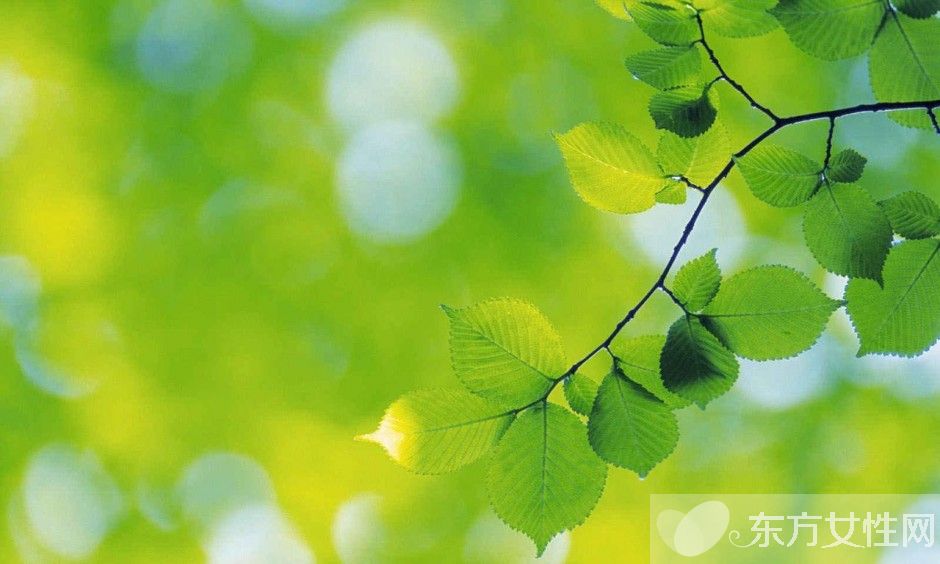 如何保护眼睛  推荐日常护眼10个小窍门