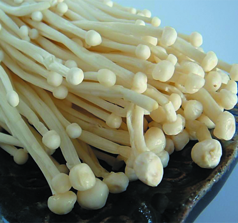 过敏吃什么 八种天然抗过敏食物大比拼