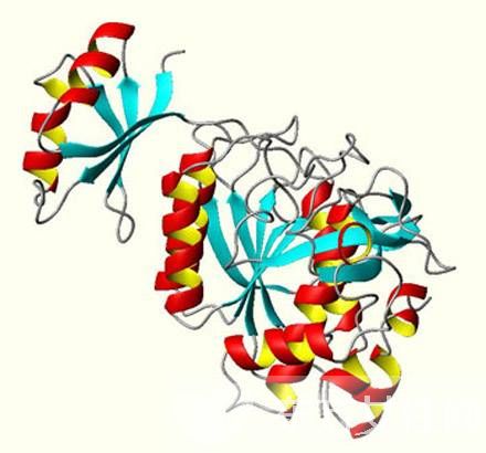 什么是营养不良性水肿？营养不良性水肿的饮食