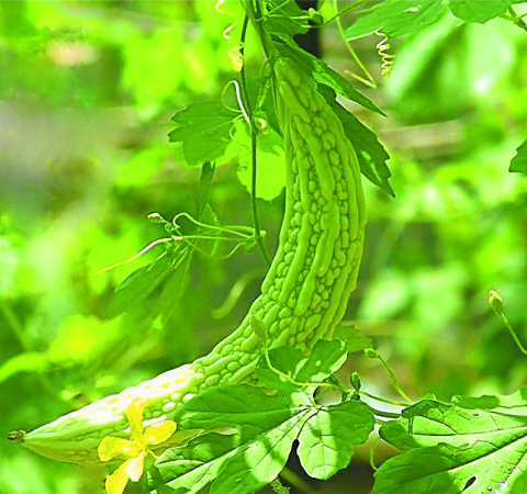 夏季饮食 七大禁忌要留心