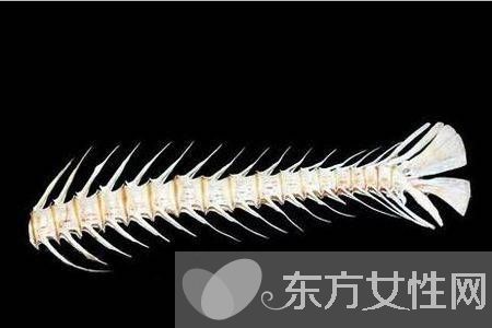 鱼刺卡住了怎么办 9种小妙招让你很快消除鱼刺