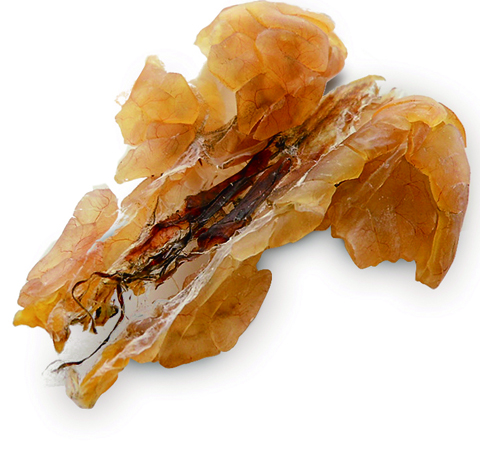 滋补养生 林蛙油的功效与作用