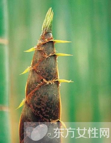 竹笋怎么剥皮 竹笋不能和什么一起吃