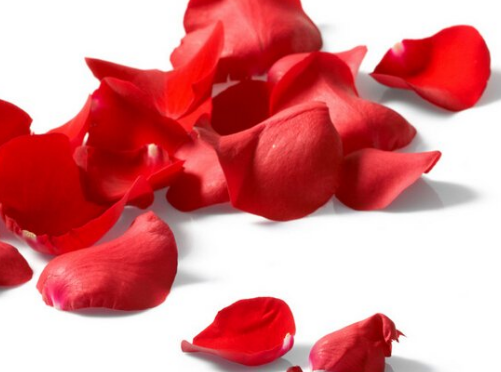 玫瑰花的功效与作用有哪些？有什么使用禁忌