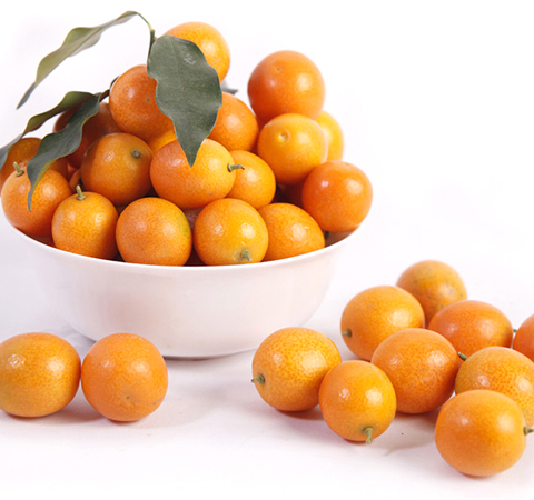 预防慢性疾病全靠它 揭金桔的功效与作用