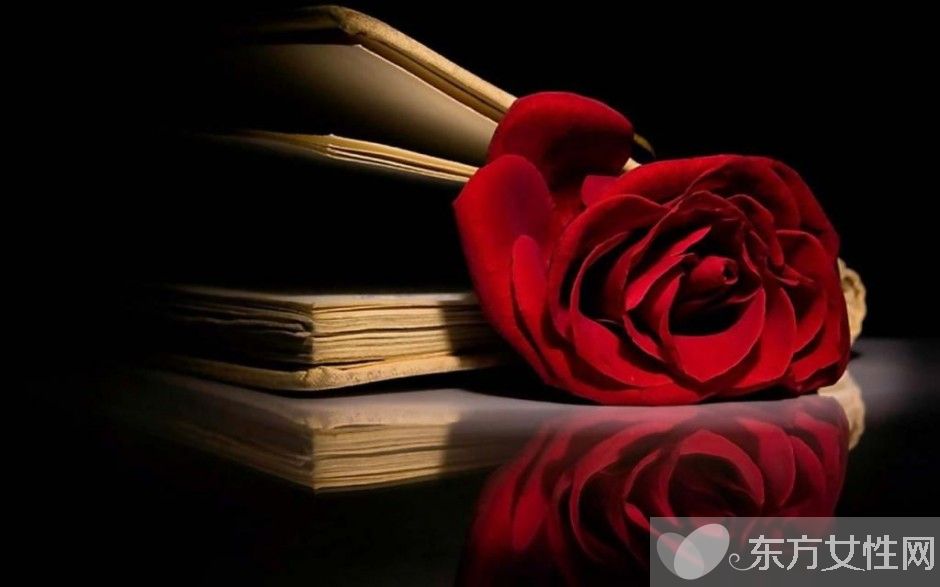 玫瑰花怎么保存时间长  玫瑰花的花语是什么