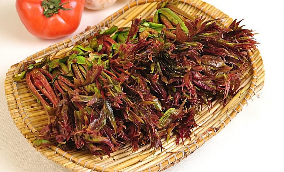 香椿的营养价值及做法大全 孕妇能吃香椿吗