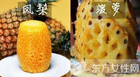 凤梨和菠萝的区别 凤梨和菠萝的营养价值都有哪些