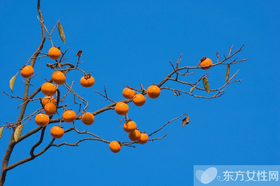 柿子的热量高吗 吃柿子的4大注意事项需警惕