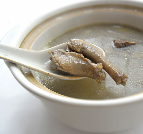 鸽子汤的功效 促进伤口愈合