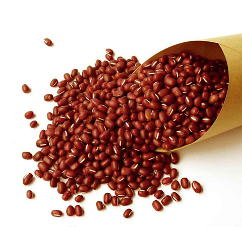 揭密赤豆的功效与作用具体有哪些