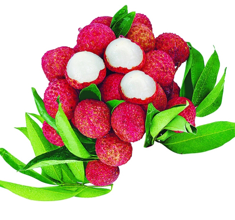 荔枝的功效与作用 哪些人不适合吃