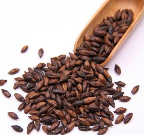 大麦茶饮用也有禁忌 揭大麦茶的功效与作用