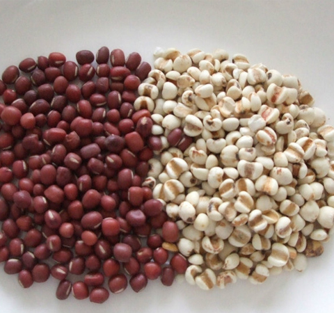 祛湿的最佳品薏米的副作用有哪些