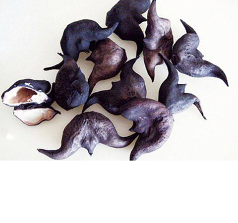 细说菱角粉的功效和作用有哪些