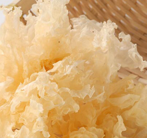 揭木耳的功效与作用 黑白木耳搭配有妙用