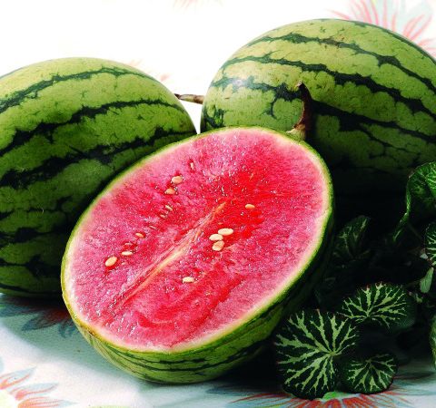 西瓜的功效与作用有哪些  营养禁忌全知道