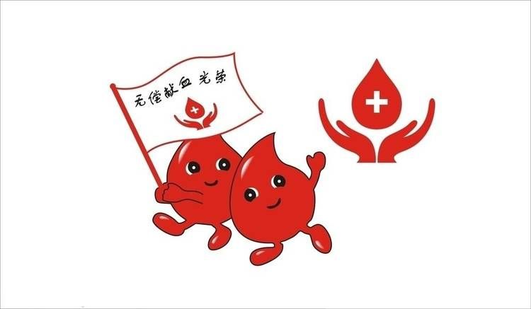 关于献血年龄和献血周期的规定