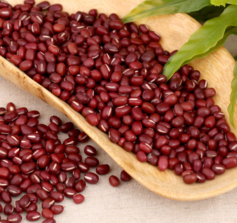 红豆的功效与作用有哪些 揭红豆的食用方法