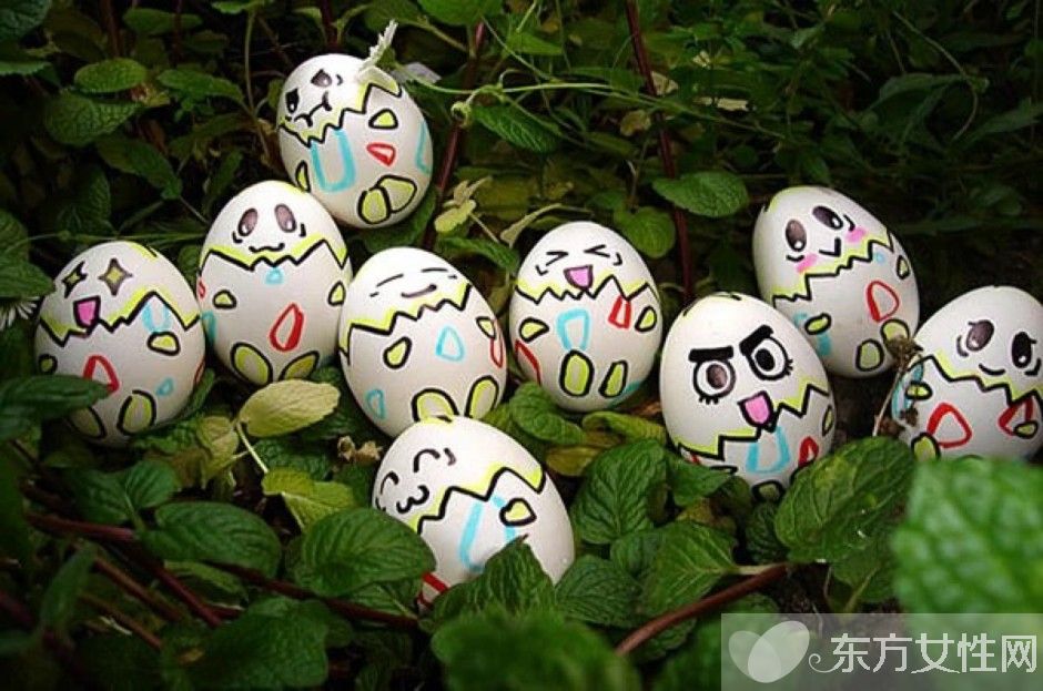 鸡蛋壳的妙用有哪些  揭秘鸡蛋壳的16个神奇妙用