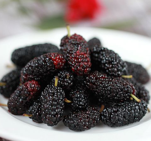 桑葚的作用有哪些 6种功效大盘点