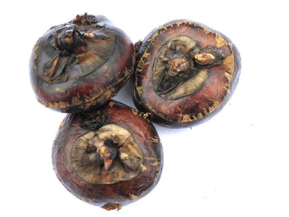 马蹄的做法有哪些 如何挑选马蹄