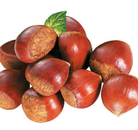 板栗的作用与功效 板栗怎么去皮