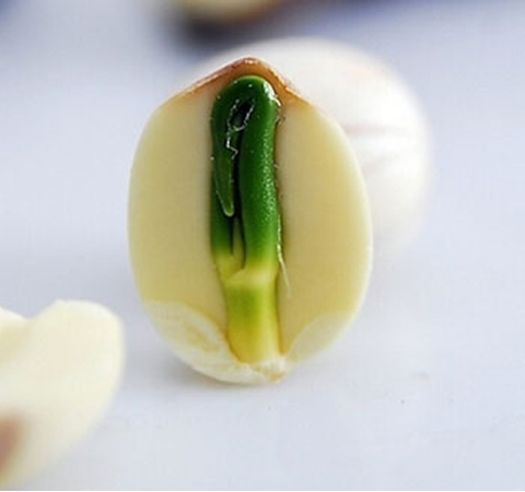 揭莲心的作用 滋养补虚防癌抗癌