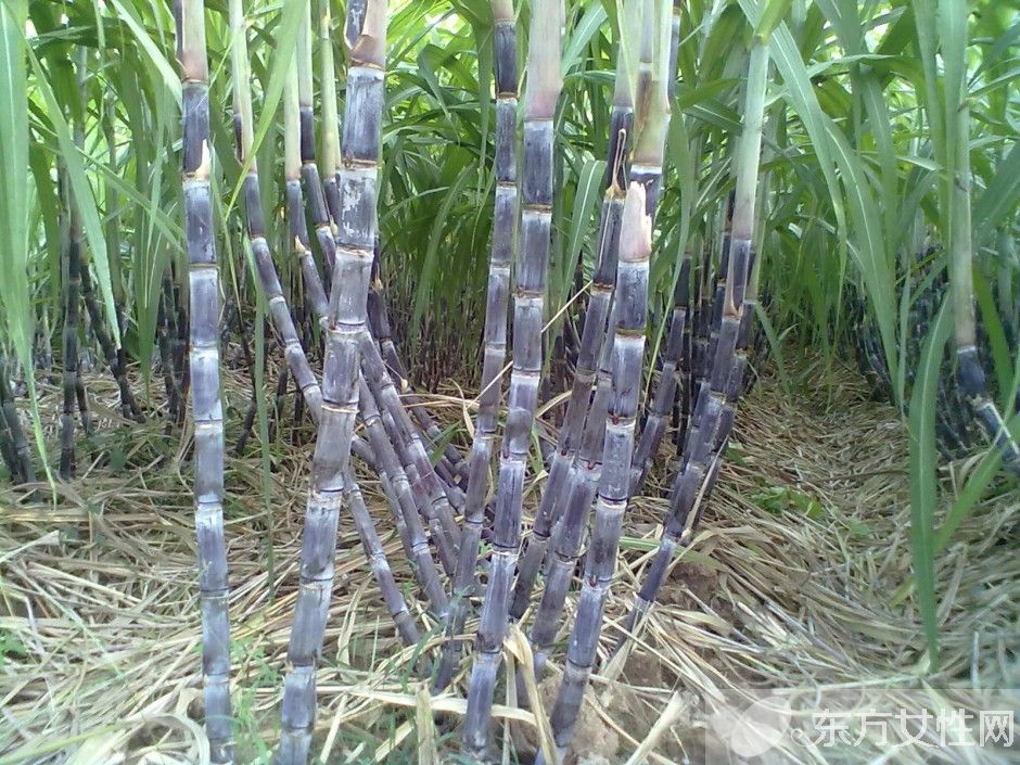 快速解酒的方法有哪些 酒后饮食对解酒的影响